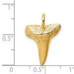 Załaduj obraz do przeglądarki galerii, 14k Yellow Gold Shark Tooth Pendant Charm
