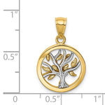Load image into Gallery viewer, 14k Yellow White Gold Two Tone Tree of Life Circle Round Pendant Charm
