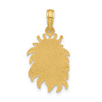 Indlæs billede til gallerivisning 14k Yellow Gold Lion Head with Crown Pendant Charm
