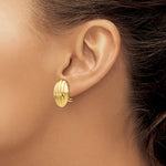 Cargar imagen en el visor de la galería, 14k Yellow Gold Oval Textured Button Omega Back Post Earrings
