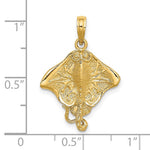 Φόρτωση εικόνας στο εργαλείο προβολής Συλλογής, 14k Yellow Gold Stingray Textured Pendant Charm
