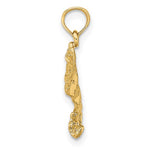 Lade das Bild in den Galerie-Viewer, 14k Yellow Gold Stingray Eagle Ray Spotted with Holes Pendant Charm
