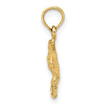 Lade das Bild in den Galerie-Viewer, 14k Yellow Gold Stingray Textured Small Pendant Charm
