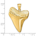 將圖片載入圖庫檢視器 14k Yellow Gold Shark Tooth 3D Large Pendant Charm
