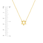 將圖片載入圖庫檢視器 14k Yellow Gold Mini Star of David Pendant Charm Necklace
