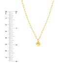 Load image into Gallery viewer, 14K Yellow Gold Mini Shell Seashell Paper Clip Chain Necklace
