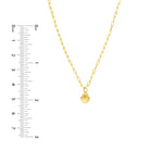 Lade das Bild in den Galerie-Viewer, 14K Yellow Gold Mini Shell Seashell Paper Clip Chain Necklace
