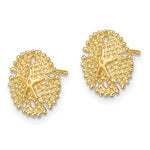Load image into Gallery viewer, 14k Yellow Gold Sand Dollar Starfish Post Push Back Earrings
