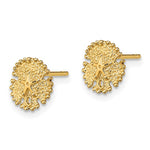 Lataa kuva Galleria-katseluun, 14k Yellow Gold Sand Dollar Starfish Post Push Back Earrings
