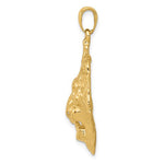 Load image into Gallery viewer, 14k Yellow Gold Lion Head Large Pendant Charm
