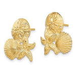 画像をギャラリービューアに読み込む, 14k Yellow Gold Sand Dollar Starfish Clam Scallop Shell Post Push Back Earrings
