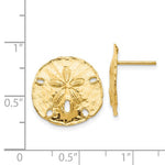 Load image into Gallery viewer, 14k Yellow Gold Sand Dollar Post Push Back Earrings
