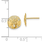 Load image into Gallery viewer, 14k Yellow Gold Sand Dollar Starfish Post Push Back Earrings
