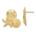 Indlæs billede til gallerivisning 14k Yellow Gold Sand Dollar Starfish Clam Scallop Shell Post Push Back Earrings
