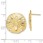 Φόρτωση εικόνας στο εργαλείο προβολής Συλλογής, 14k Yellow Gold Sand Dollar Starfish Post Push Back Earrings
