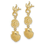 Lataa kuva Galleria-katseluun, 14k Yellow Gold Sand Dollar Starfish Clam Scallop Shell Dangle Earrings
