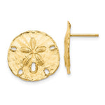 Load image into Gallery viewer, 14k Yellow Gold Sand Dollar Post Push Back Earrings
