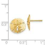 Carica l&#39;immagine nel visualizzatore di Gallery, 14k Yellow Gold Sand Dollar Starfish Post Push Back Earrings
