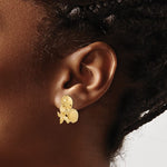 Cargar imagen en el visor de la galería, 14k Yellow Gold Sand Dollar Starfish Clam Scallop Shell Post Push Back Earrings

