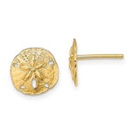 Carregar imagem no visualizador da galeria, 14k Yellow Gold Sand Dollar Starfish Post Push Back Earrings
