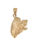 Lade das Bild in den Galerie-Viewer, 14k Yellow Gold with Enamel Conch Shell 3D Pendant Charm
