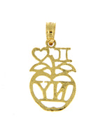 Afbeelding in Gallery-weergave laden, 14K Yellow Gold I Heart Love NY New York City Big Apple Pendant Charm
