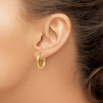 Lataa kuva Galleria-katseluun, 10K Yellow Gold 19mm x 3mm Classic Round Hoop Earrings
