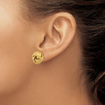 Kép betöltése a galériamegjelenítőbe: 14k Yellow Gold 15mm Classic Love Knot Stud Post Earrings
