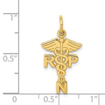 Load image into Gallery viewer, 14k Yellow Gold RPN Nurse Pendant Charm
