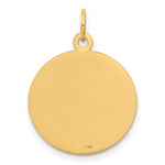 Carregar imagem no visualizador da galeria, 14k Yellow Gold Medical Caduceus Symbol Disc Pendant Charm
