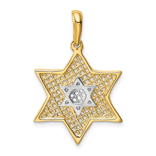 14K Yellow Gold and Rhodium Two Tone Star of David Pendant Charm