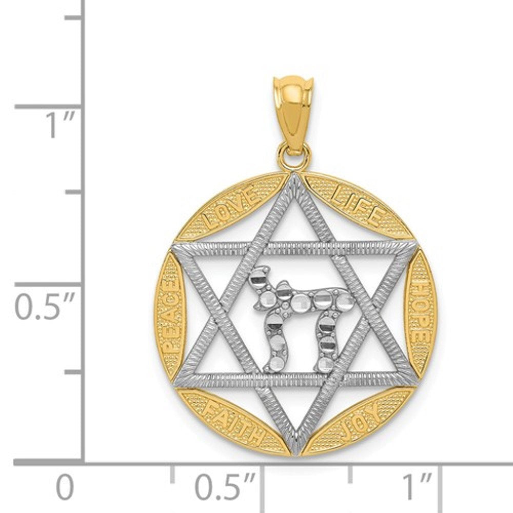 14k Yellow Gold and Rhodium Star of David Pendant Charm
