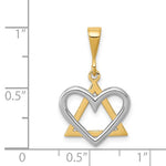 Carregar imagem no visualizador da galeria, 14k Gold Two Tone Star of David Heart Pendant Charm
