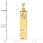 Afbeelding in Gallery-weergave laden, 14k Gold Two Tone Mezuzah Star of David Chai Pendant Charm
