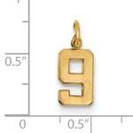 Carica l&#39;immagine nel visualizzatore di Gallery, 14k Yellow Gold Number 9 Nine Pendant Charm
