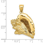 Lataa kuva Galleria-katseluun, 14k Yellow Gold Large Conch Shell Seashell 3D Pendant Charm
