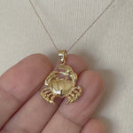 Load and play video in Gallery viewer, 14k Yellow Gold Crab Open Back Pendant Charm
