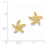 Kép betöltése a galériamegjelenítőbe: 14k Yellow Gold Starfish Stud Post Push Back Earrings
