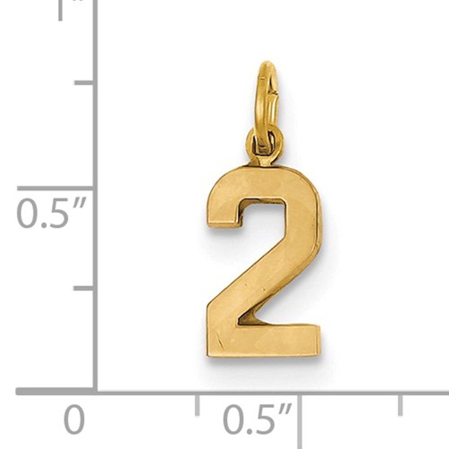 14k Yellow Gold Number 2 Two Pendant Charm