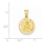 Cargar imagen en el visor de la galería, 14k Yellow Gold Sacred Heart of Mary Hollow Pendant Charm
