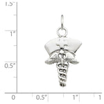 Load image into Gallery viewer, 14k White Gold Nurse Symbol Pendant Charm
