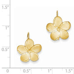 Загрузить изображение в средство просмотра галереи, 14k Yellow Gold Plumeria Flower French Wire Dangle Earrings
