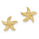 이미지를 갤러리 뷰어에 로드 , 14k Yellow Gold Starfish Stud Post Push Back Earrings
