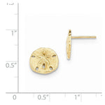 Load image into Gallery viewer, 14k Yellow Gold Sand Dollar Stud Post Push Back Earrings
