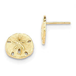 Load image into Gallery viewer, 14k Yellow Gold Sand Dollar Stud Post Push Back Earrings
