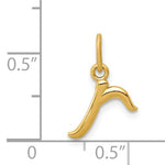Carica l&#39;immagine nel visualizzatore di Gallery, 14K Yellow Gold Lowercase Initial Letter R Script Cursive Alphabet Pendant Charm
