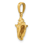 Afbeelding in Gallery-weergave laden, 14k Yellow Gold Conch Shell 3D Pendant Charm - [cklinternational]
