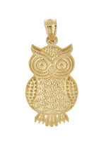 Carica l&#39;immagine nel visualizzatore di Gallery, 14k Yellow Gold and Rhodium Owl Pendant Charm
