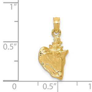 14k Yellow Gold Conch Shell 3D Pendant Charm - [cklinternational]