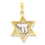 Load image into Gallery viewer, 14k Yellow Gold Rhodium Chai Star Mesh Pendant Charm
